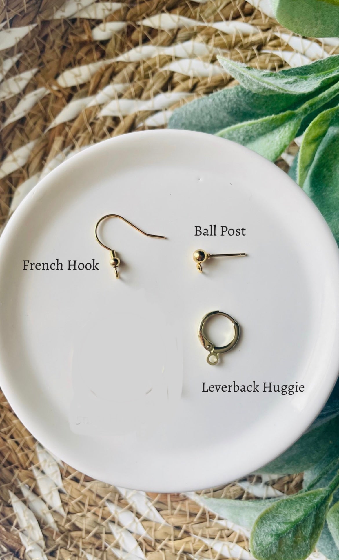 White Clam Shell Dangles