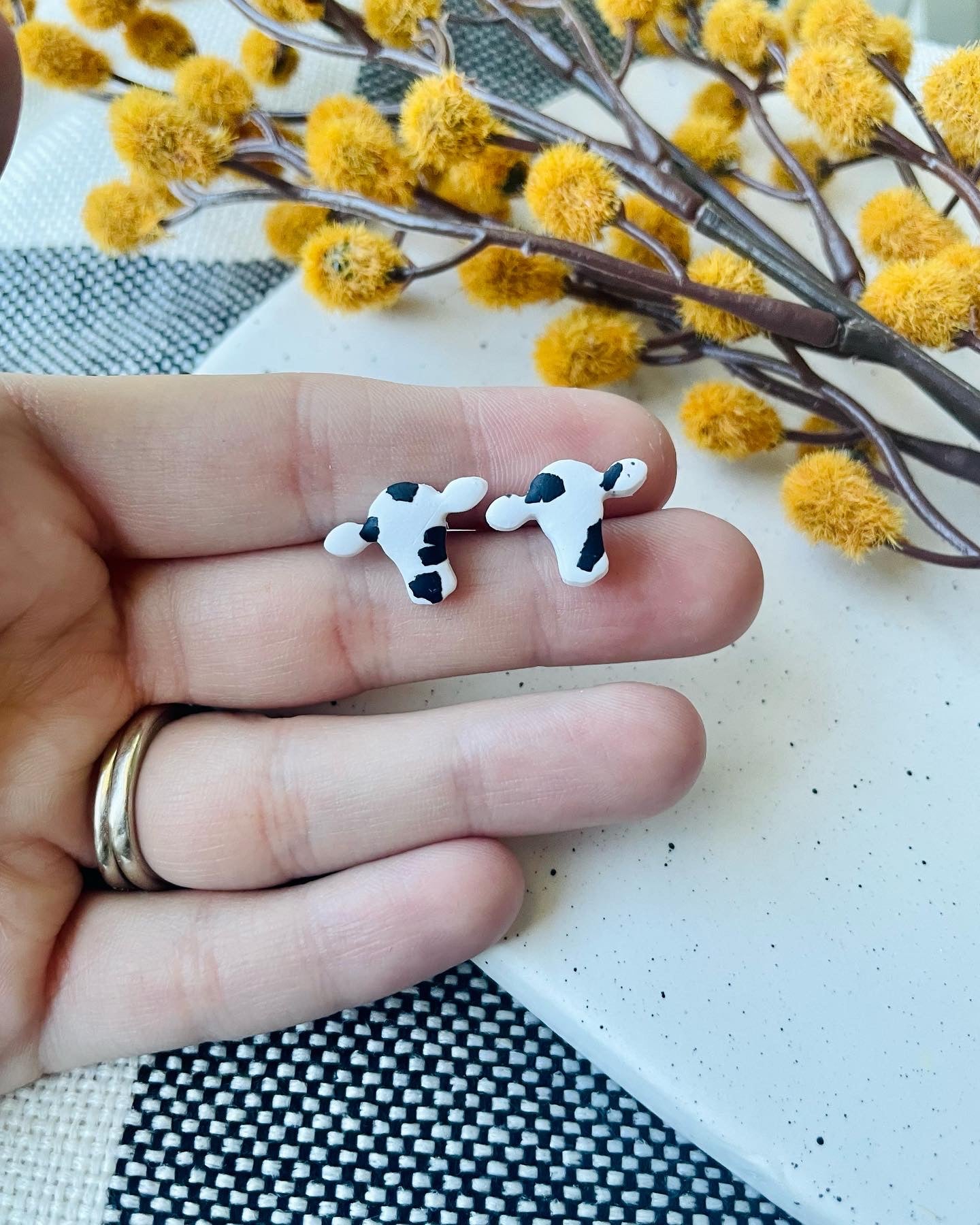 Cow Studs