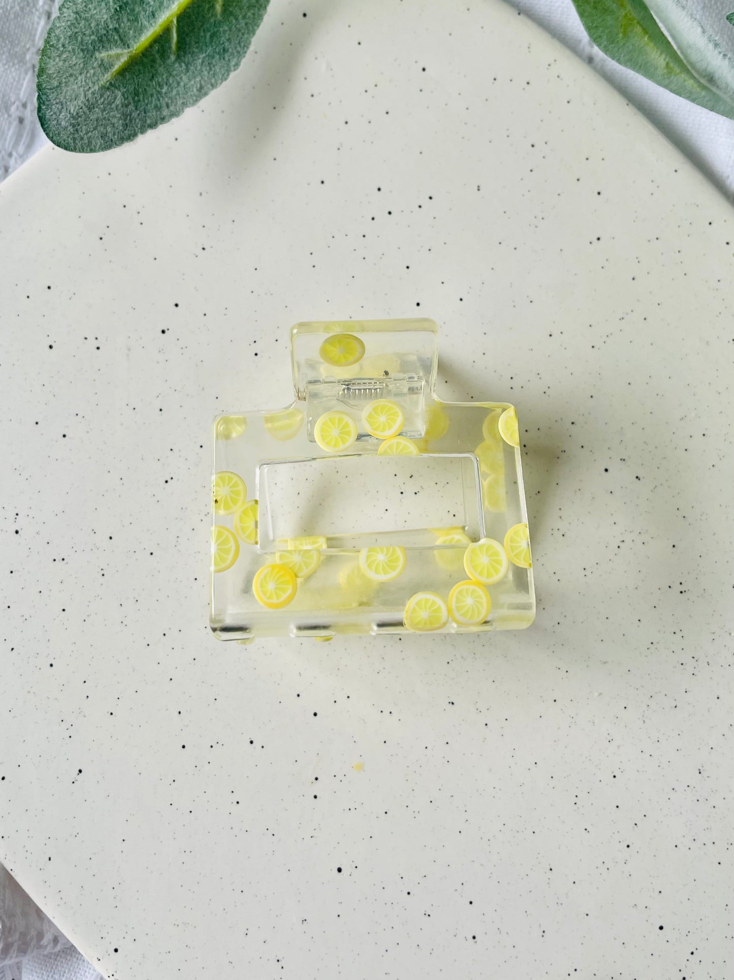 Fruit Claw Clips