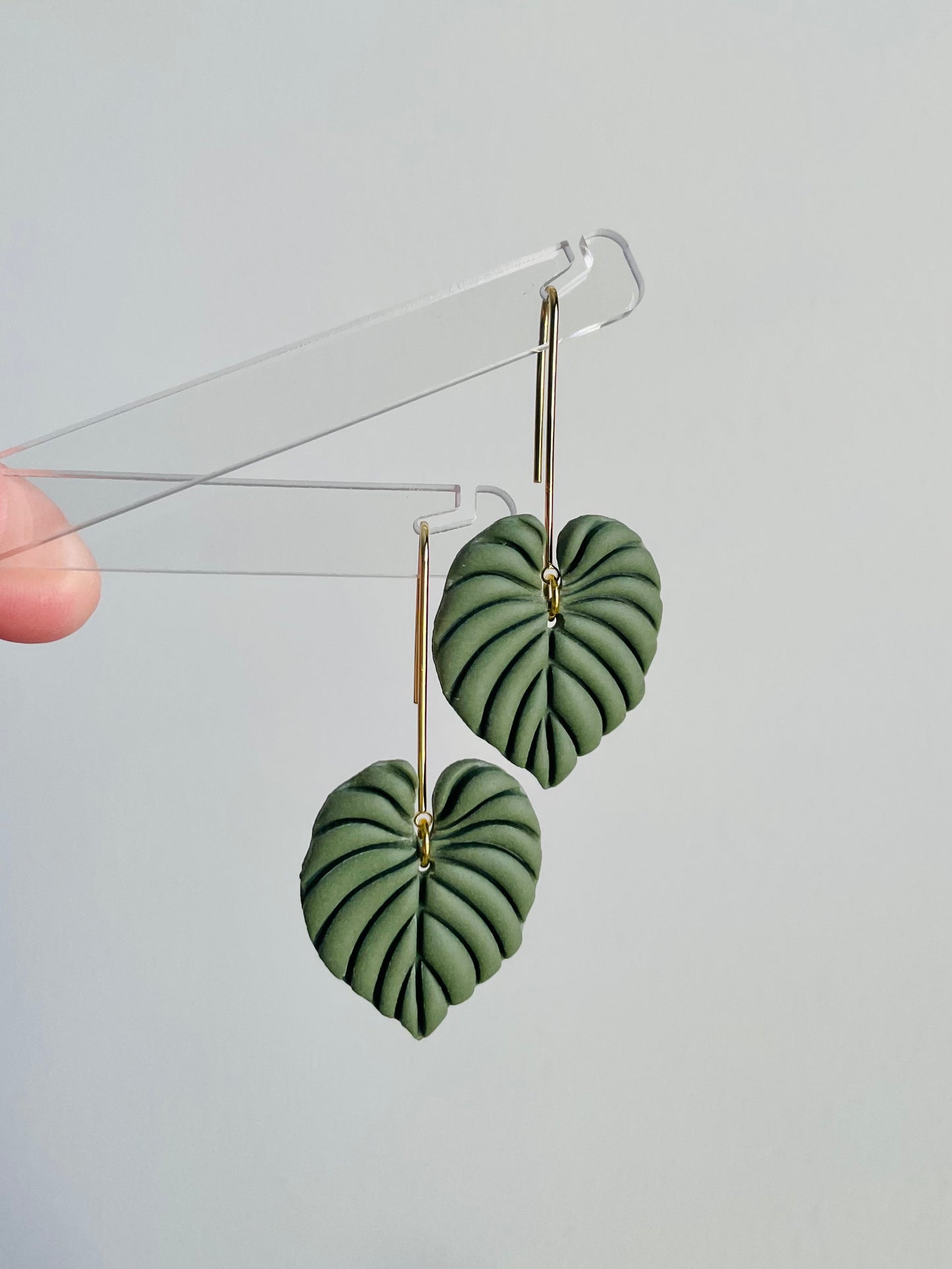 Philodendron Drops